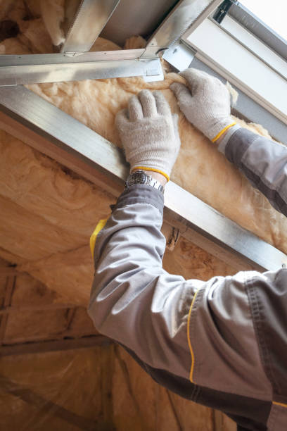 Best Types of Insulation in Lake Riverside, CA